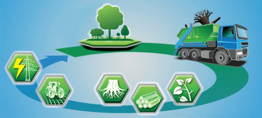 Przemysł drzewny, pozyskiwanie surowców - Eco Term Plus